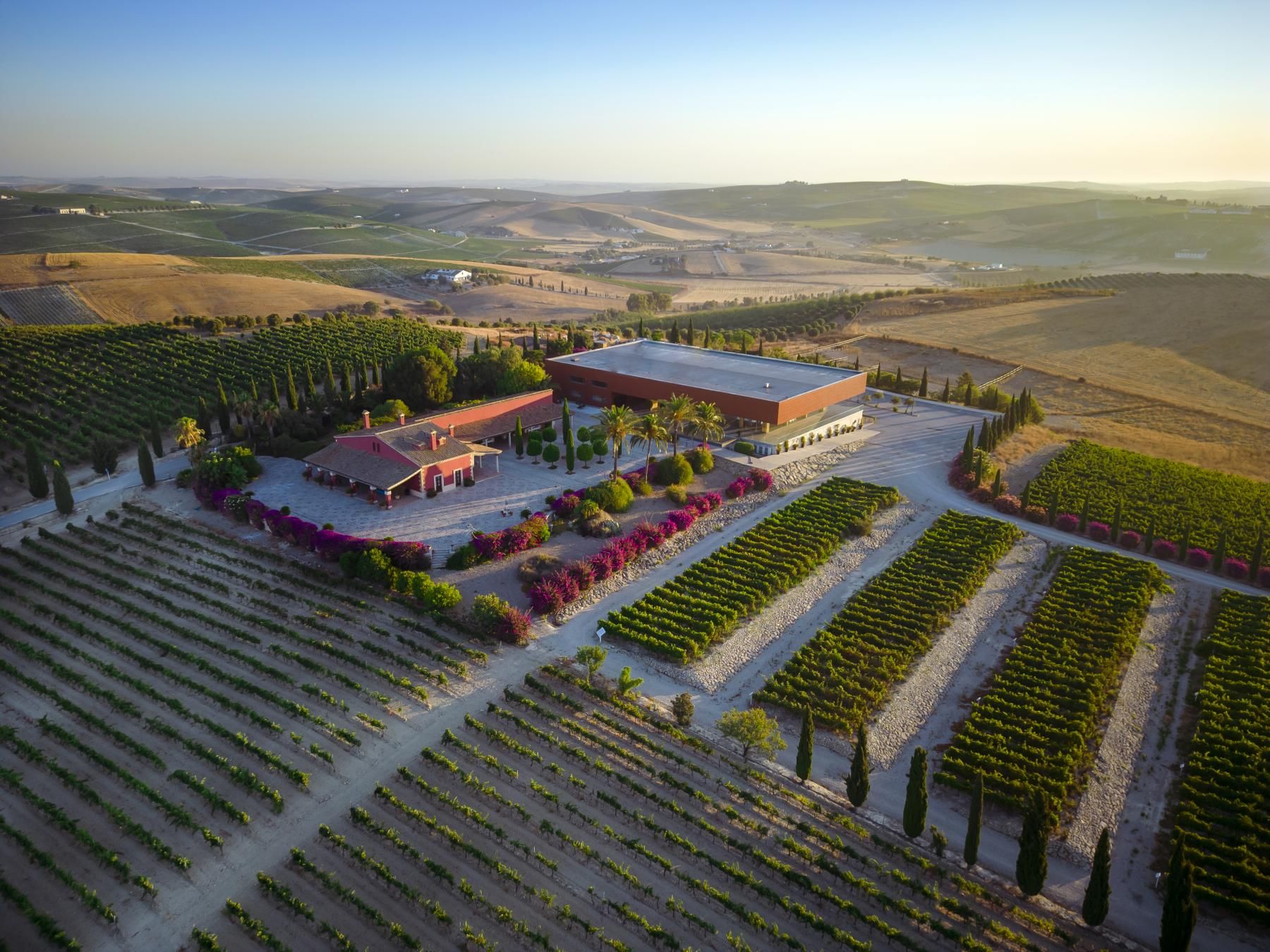 Aerial view of the Vista Hermosa estate — the winery, country house and vineyards among the hills at sunset