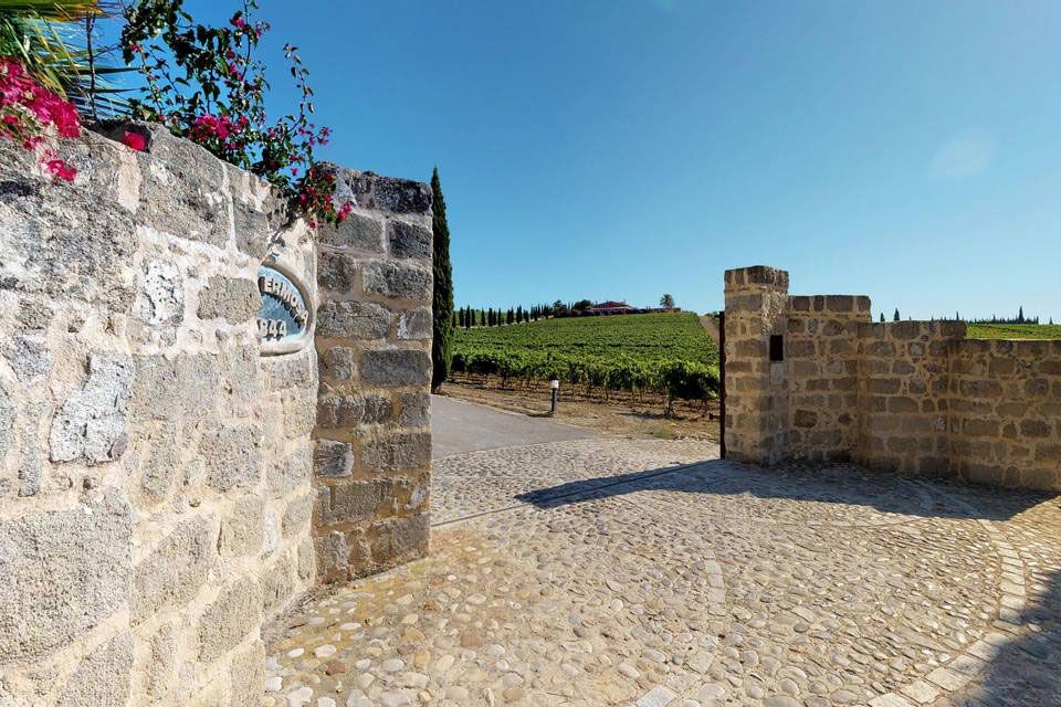 Stone estate entrance with bougainvillea and vineyards beyond