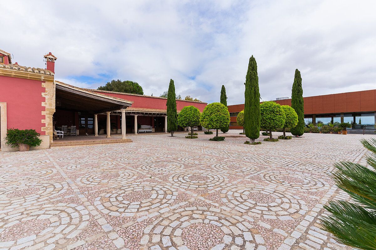 Large mosaic-cobbled patio with cypress trees and the winery building