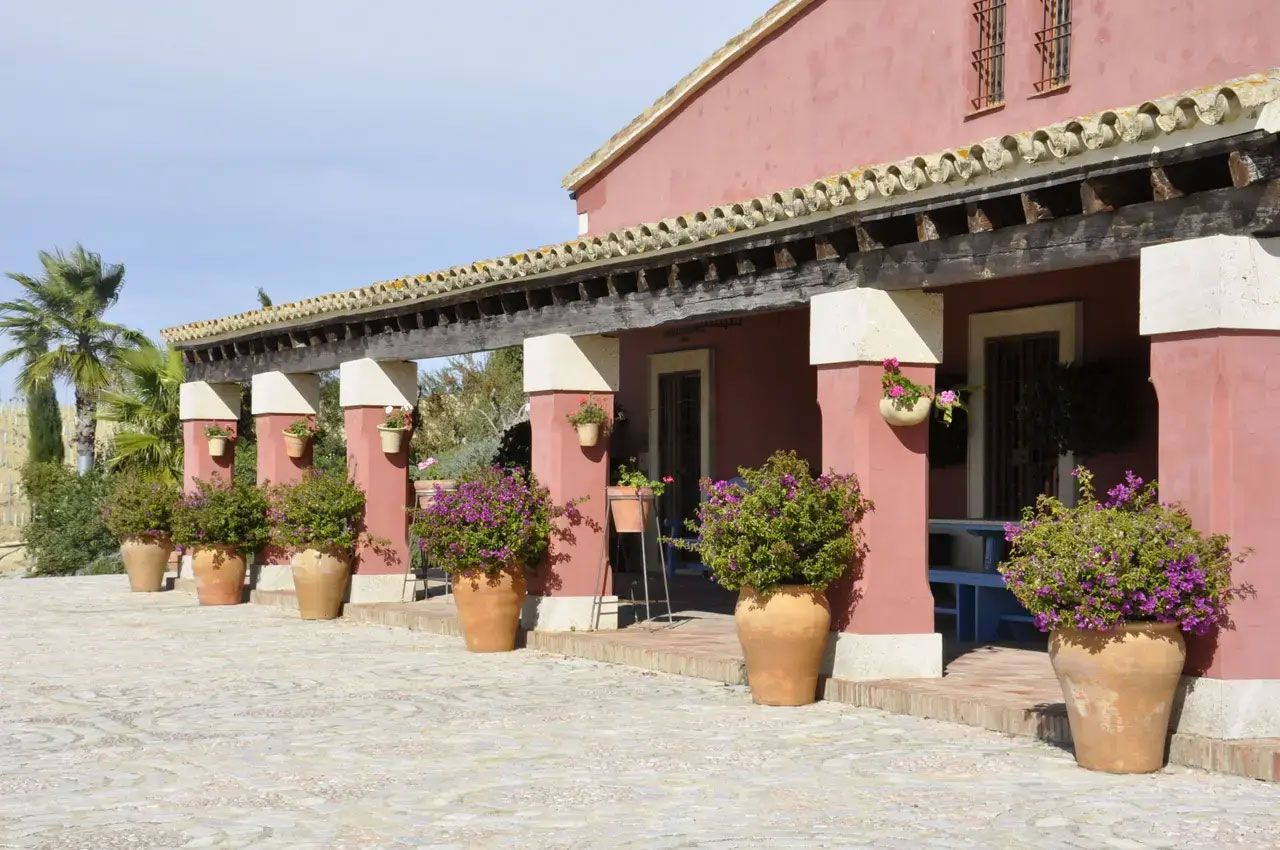 Terracotta-hued country-house porch with columns and pots of bougainvillea